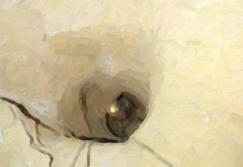 stommeln (c) Walid Raad und SITU Studio, Untitled. Acrylic Paint, Sfeir-Semler Gallery Hamburg/Beirut, 2016